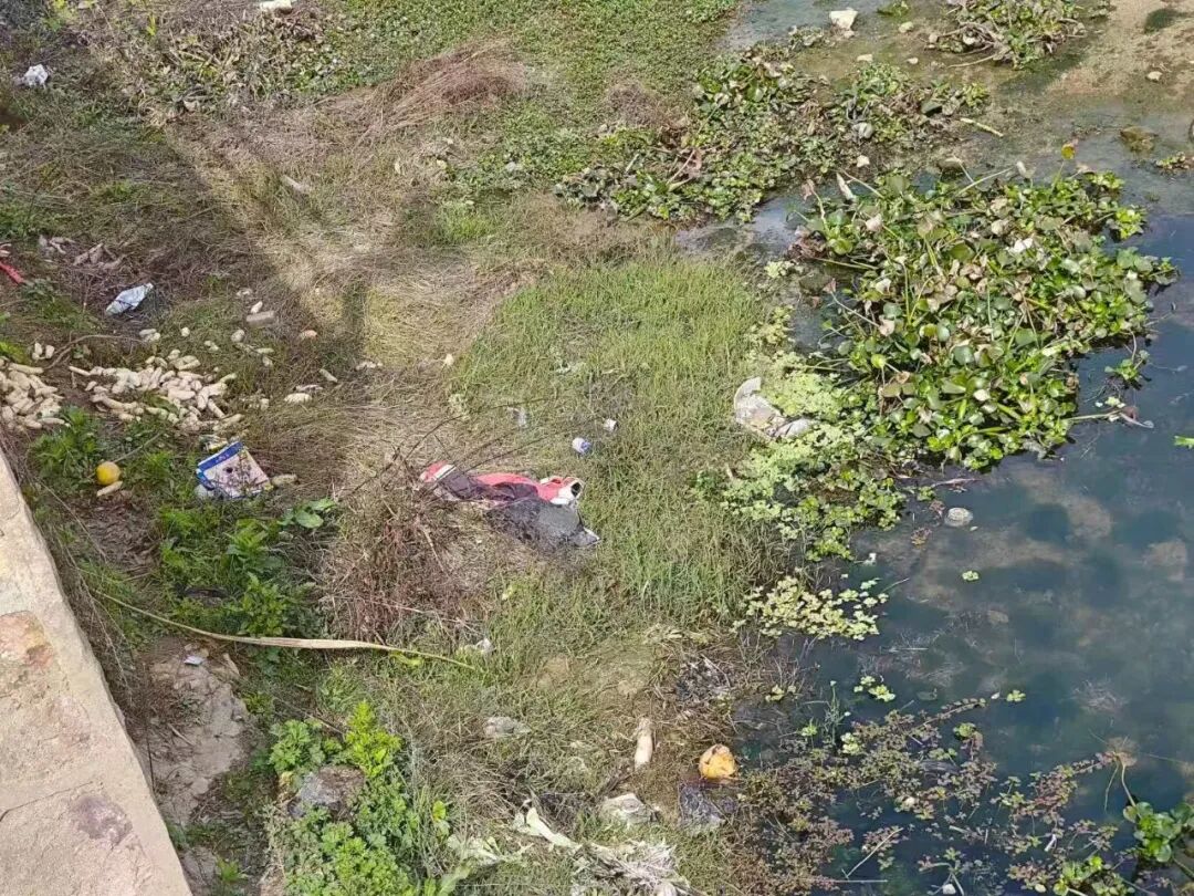 微信图片_2026-07-29_163235_862.jpg